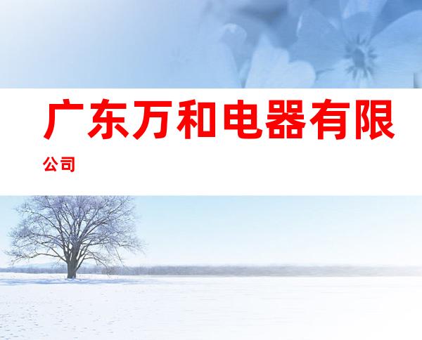 广东万和电器有限公司